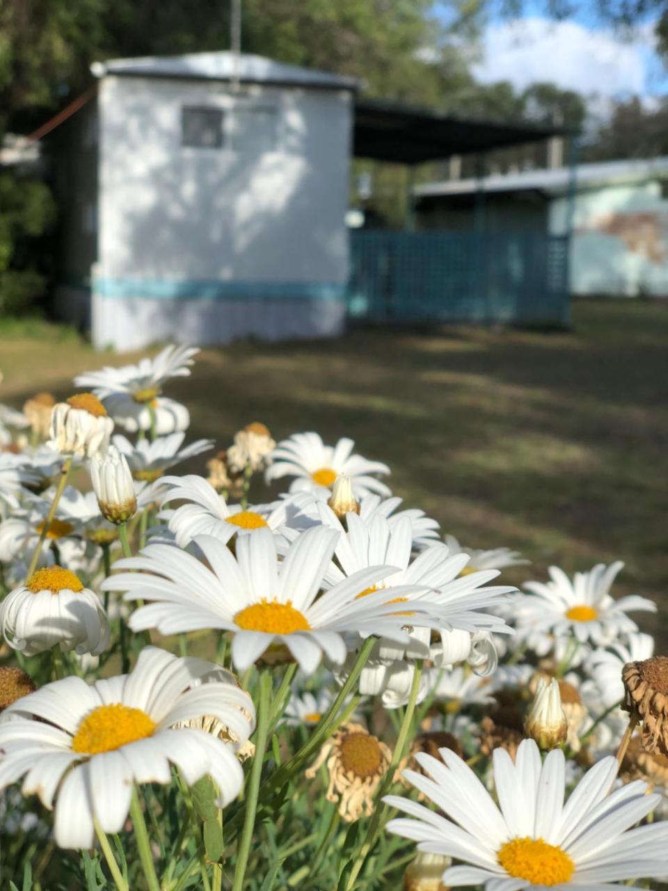 Lazy Days Caravan Park Vasse Extérieur photo